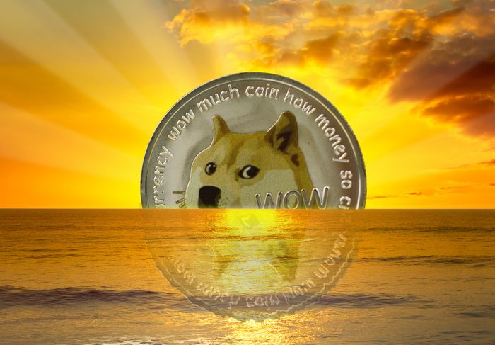 Dogecoin: Normien rikkominen vedonlyönnissä Suomessa